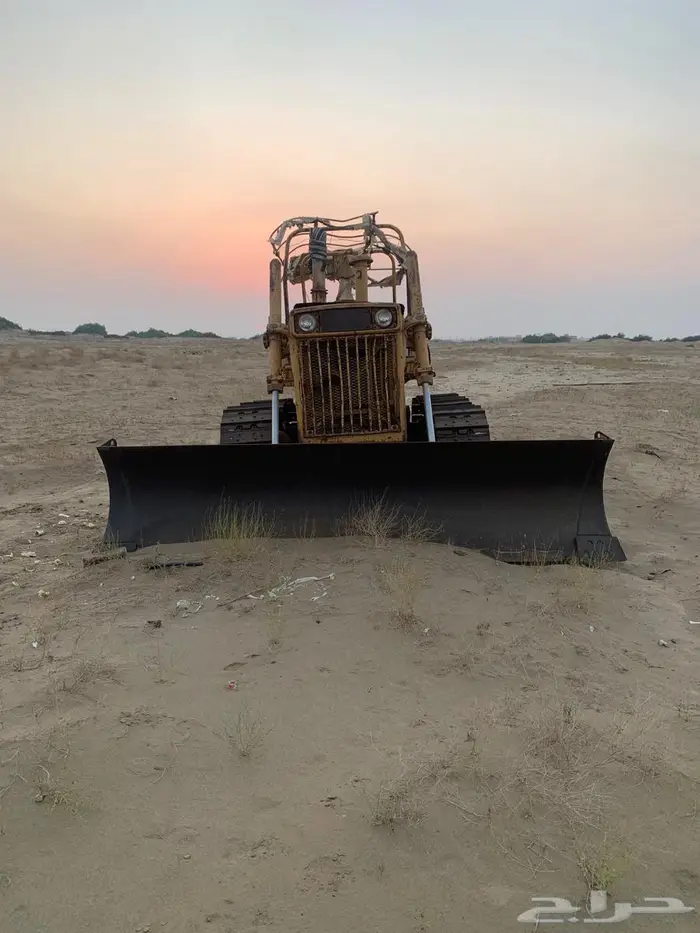 ابو عصفور مقاس 16 0