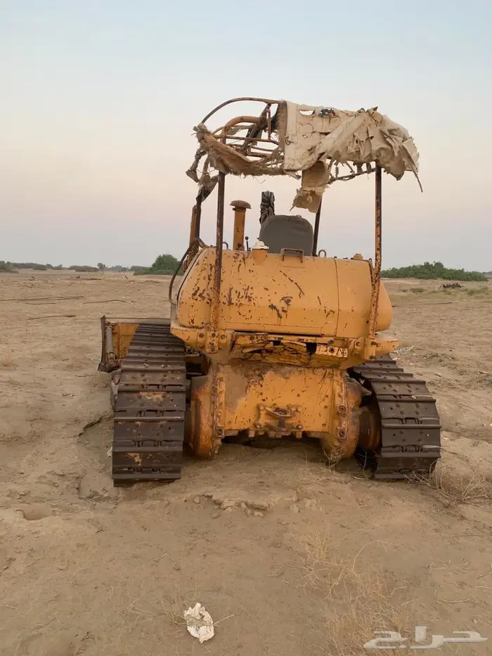 ابو عصفور مقاس 16 2