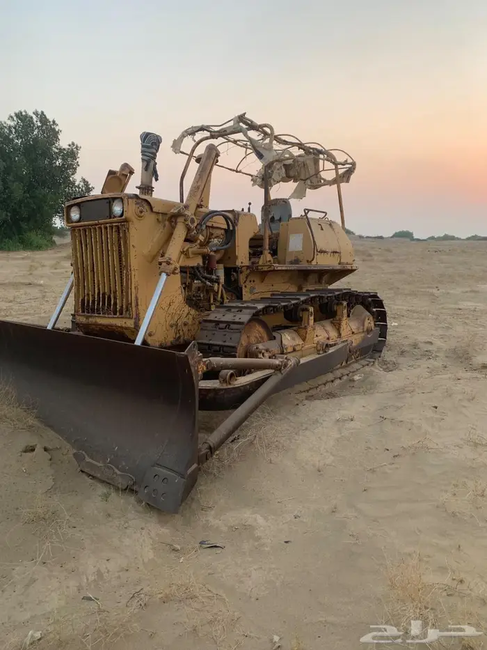 ابو عصفور مقاس 16 1