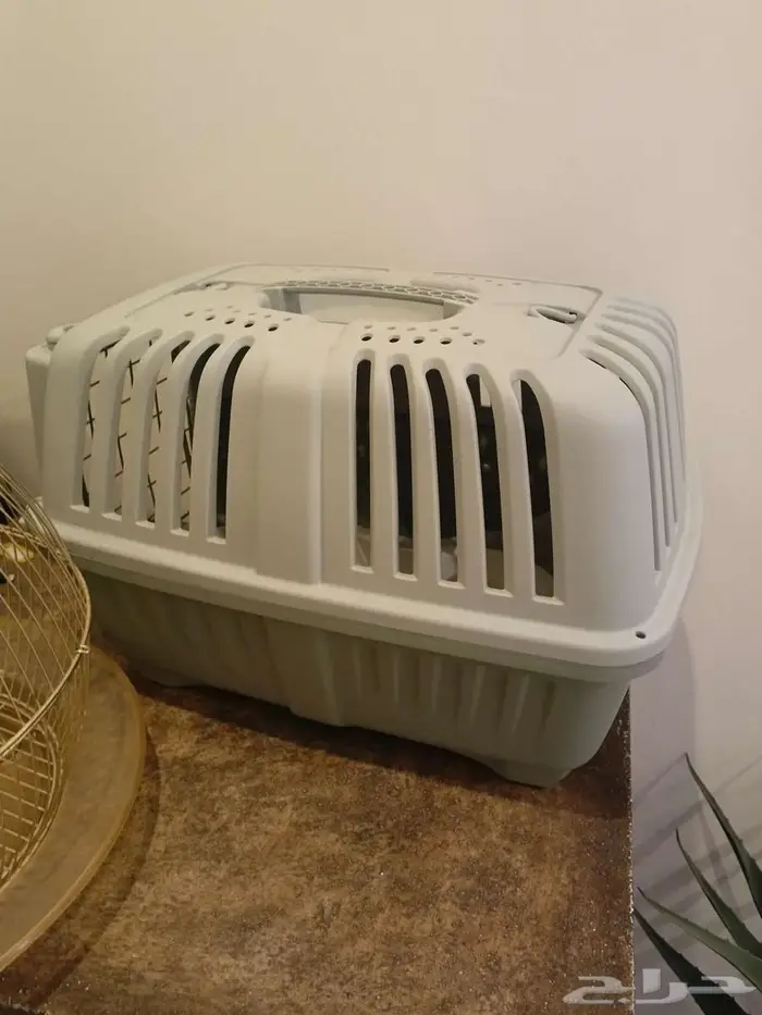 للبيع زولية واقفاص بغرب الدمام 4