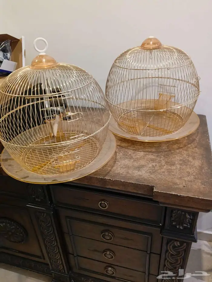 للبيع زولية واقفاص بغرب الدمام 3