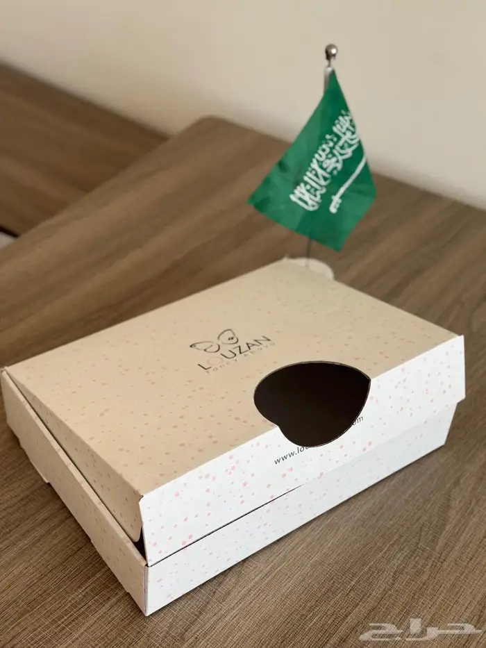 مصنع المستقبل المتطور للكرتون 19