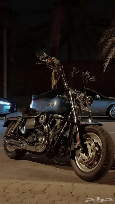 Harley davidson dyna fat bob 2011 index