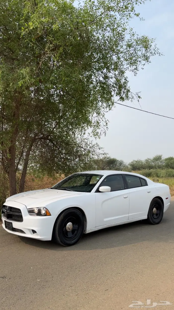 دوج تشارجر 2013للبيع 6سرندل 3