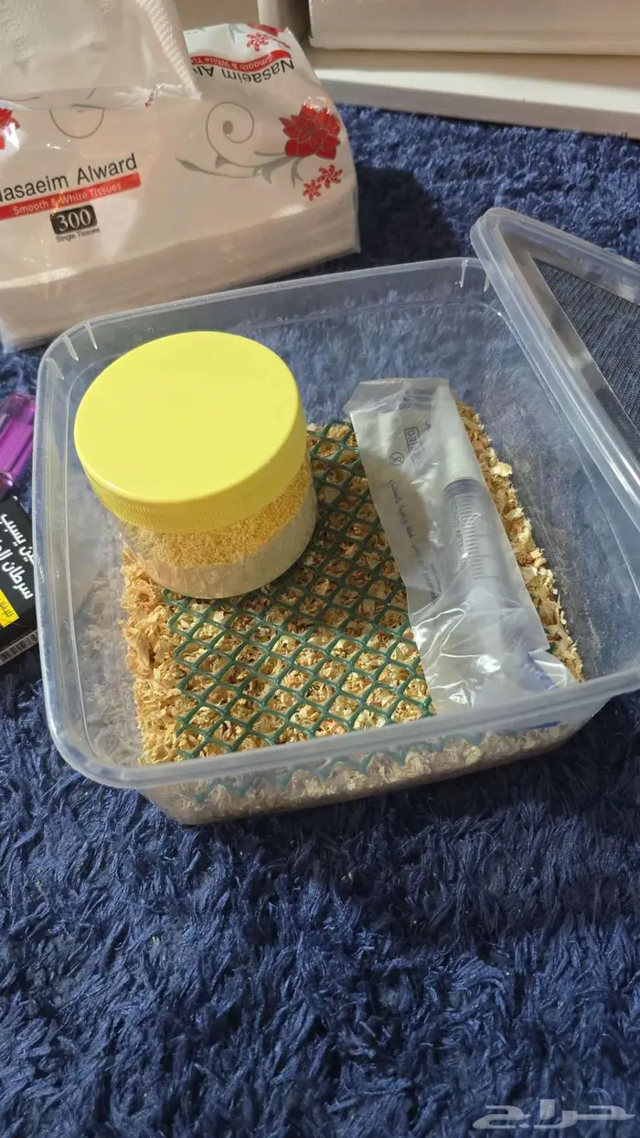 فروخ روز غر 3