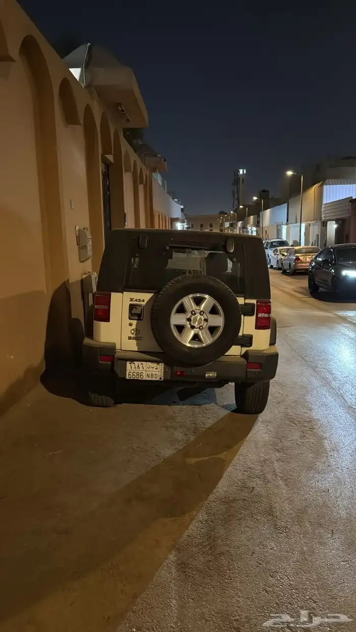 جيب بايك صيني بي 40 باب واحد 1