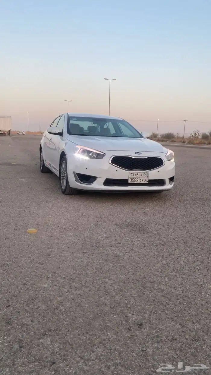 كادنزا للبيع 6