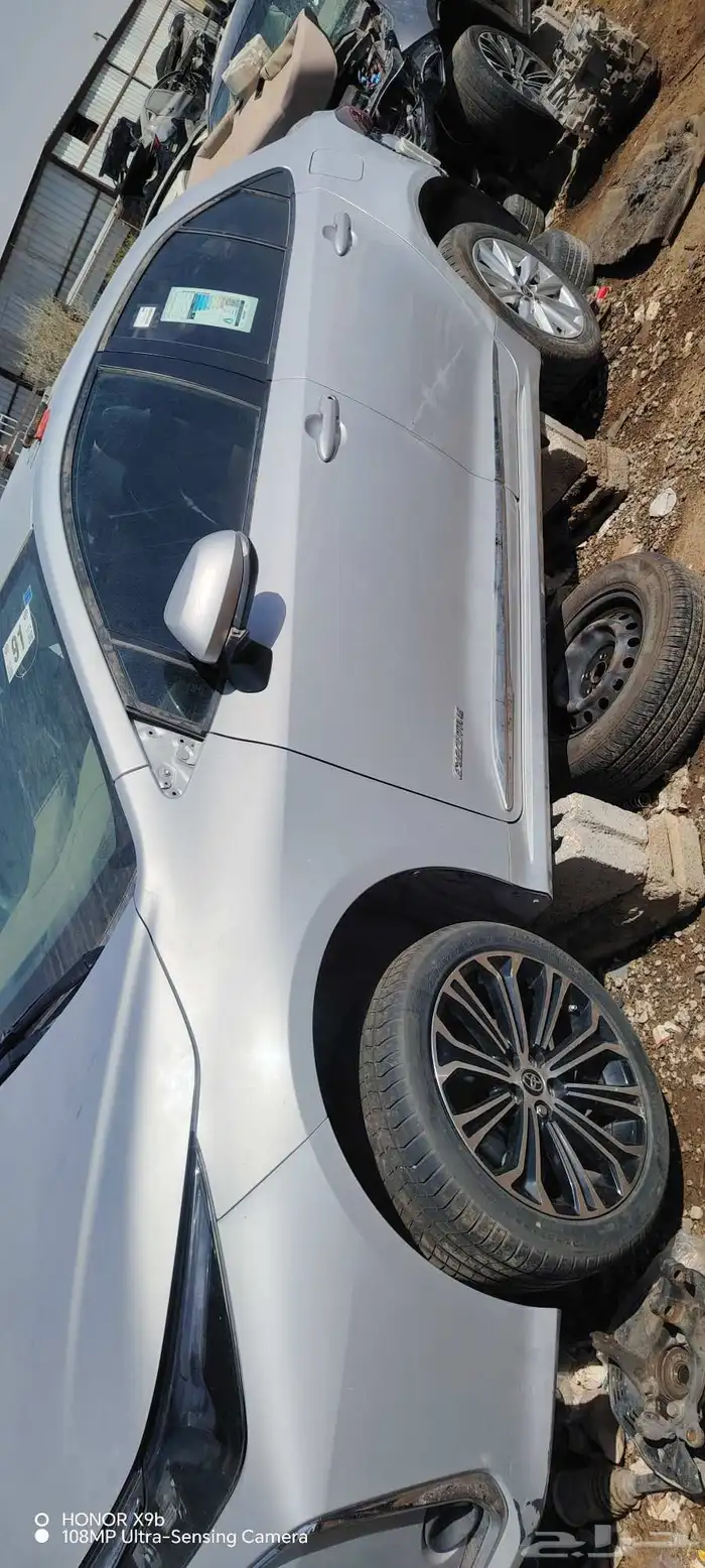 كوريلا 22 23 1