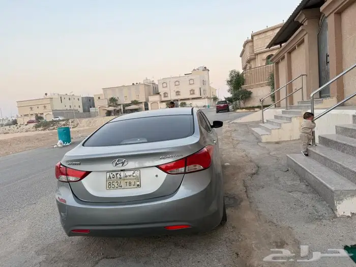 هولندي 2013 استندر 8