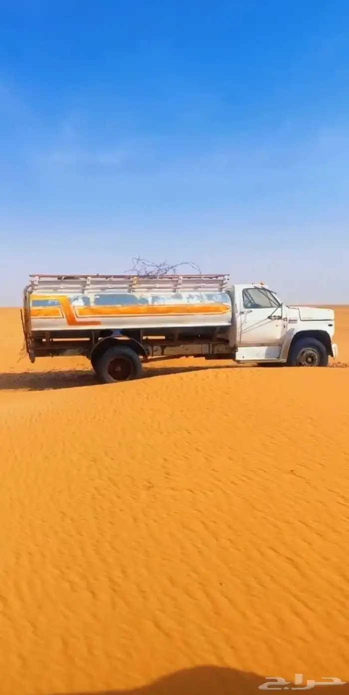 وايت جمس مديل 80 3