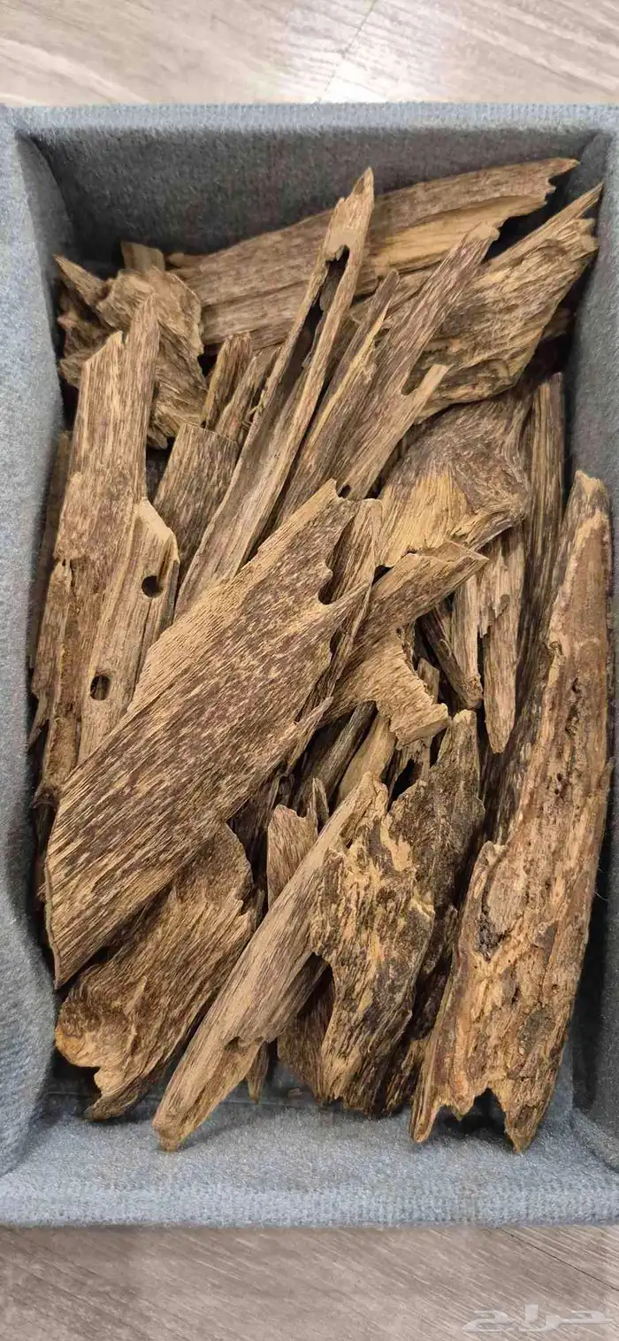 للبيع بخور عود 1