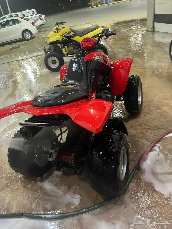 دباب للبيع 250 الشرط 2