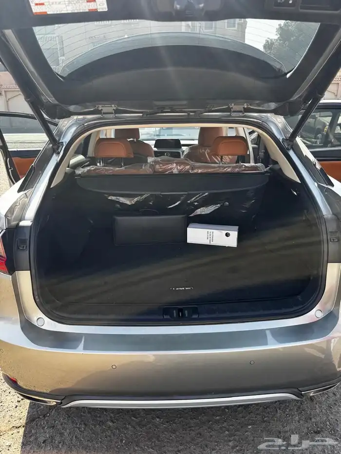 LEXUS RX 2021 6