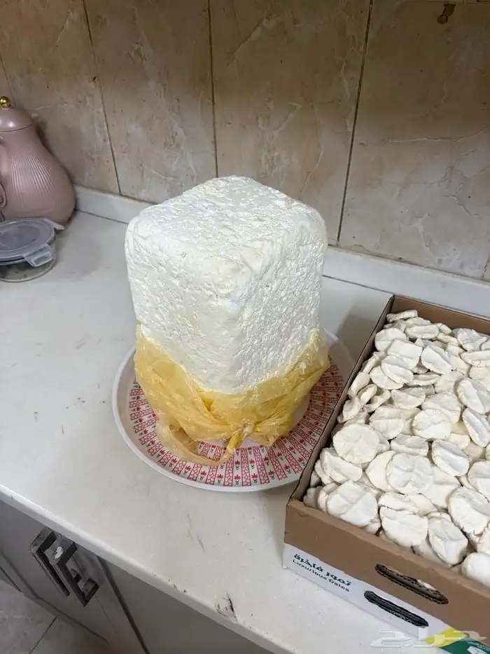 سمن بقري _ زبد بقر _ بقل بقر 1