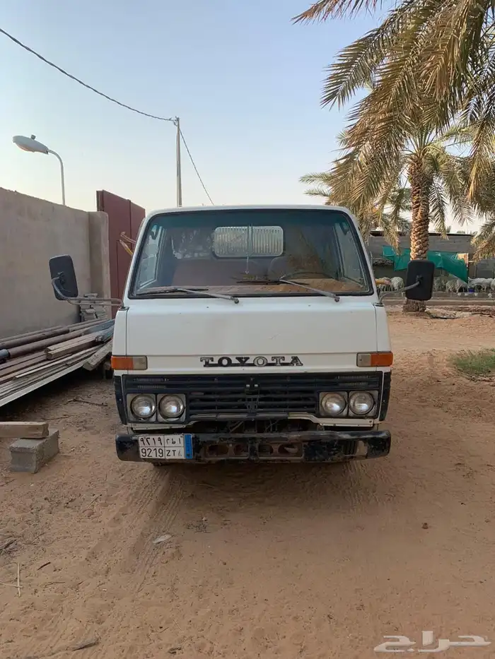 دينا قلابي بنزين 0