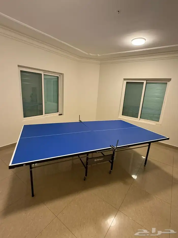 طاولة تنس 3