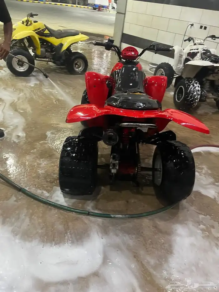 دباب للبيع 250 الشرط 1