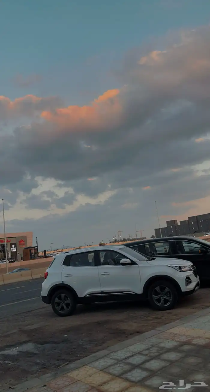 شيري تيجو 4 برو 31