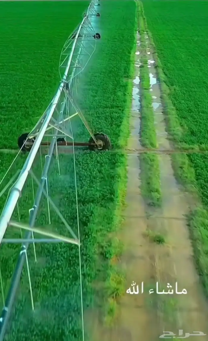 من عنده مزرعه للبيع أو يبحث عن مزرعه 0