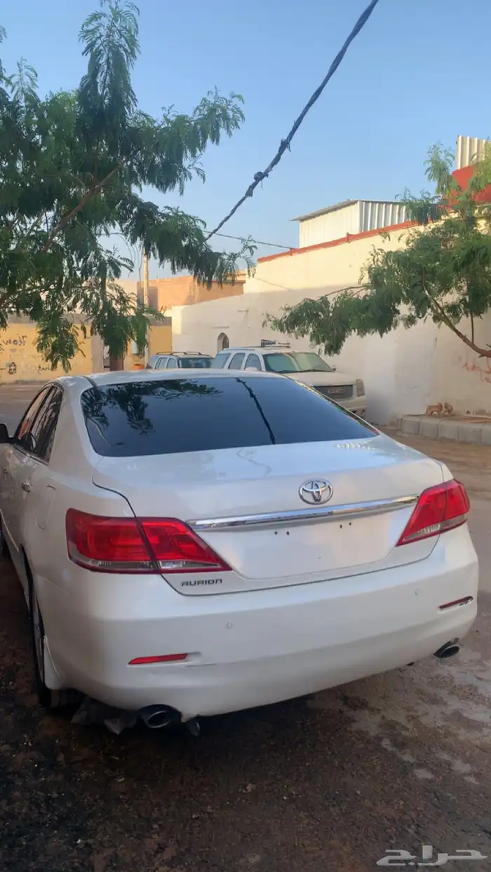 اوريون 2011 1