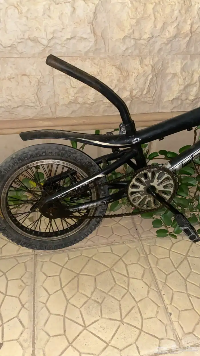 سيكل كوبرا 2