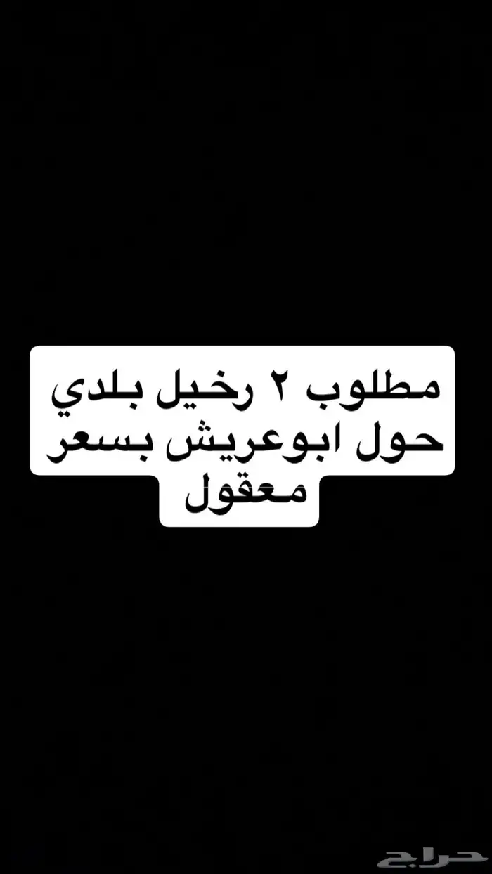 مطلوب 2 رخيل مزينه 0