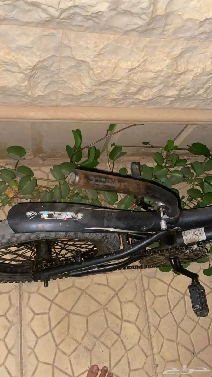 سيكل كوبرا 1