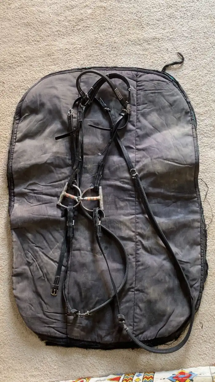 مستلزمات خيل 0