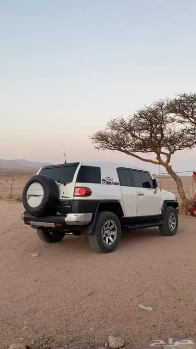 اف جي 15 index