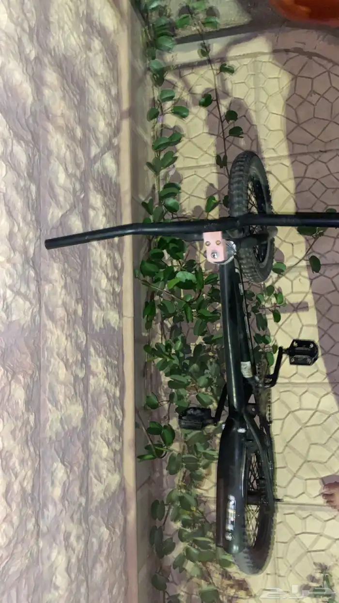 سيكل كوبرا 0