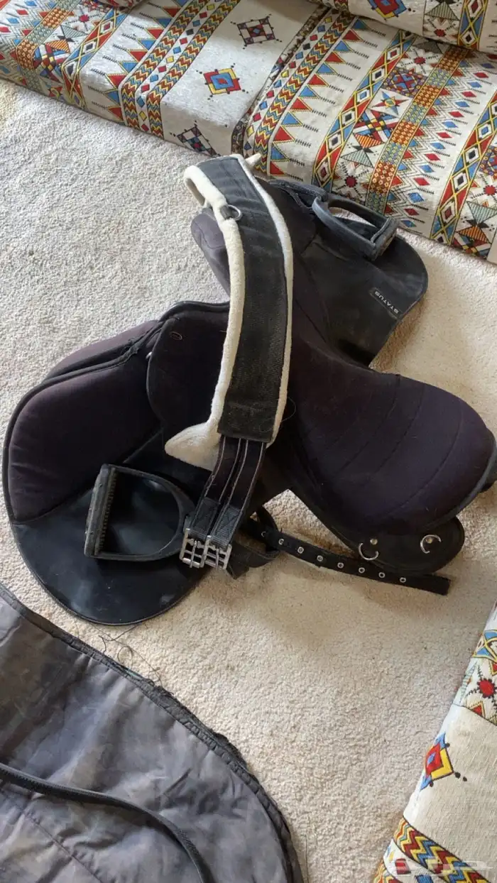 مستلزمات خيل 2