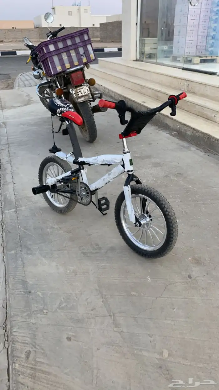 كوبرا مقاس 16 الموقع عفيف 25