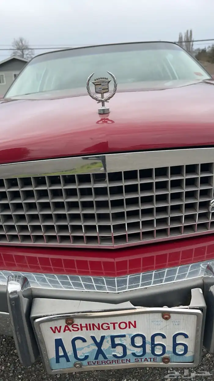 كدلك كلاسك 1