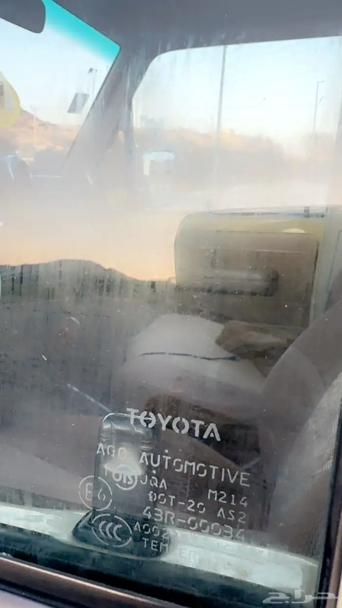 شاص 13 بريمي بودي بلد 6