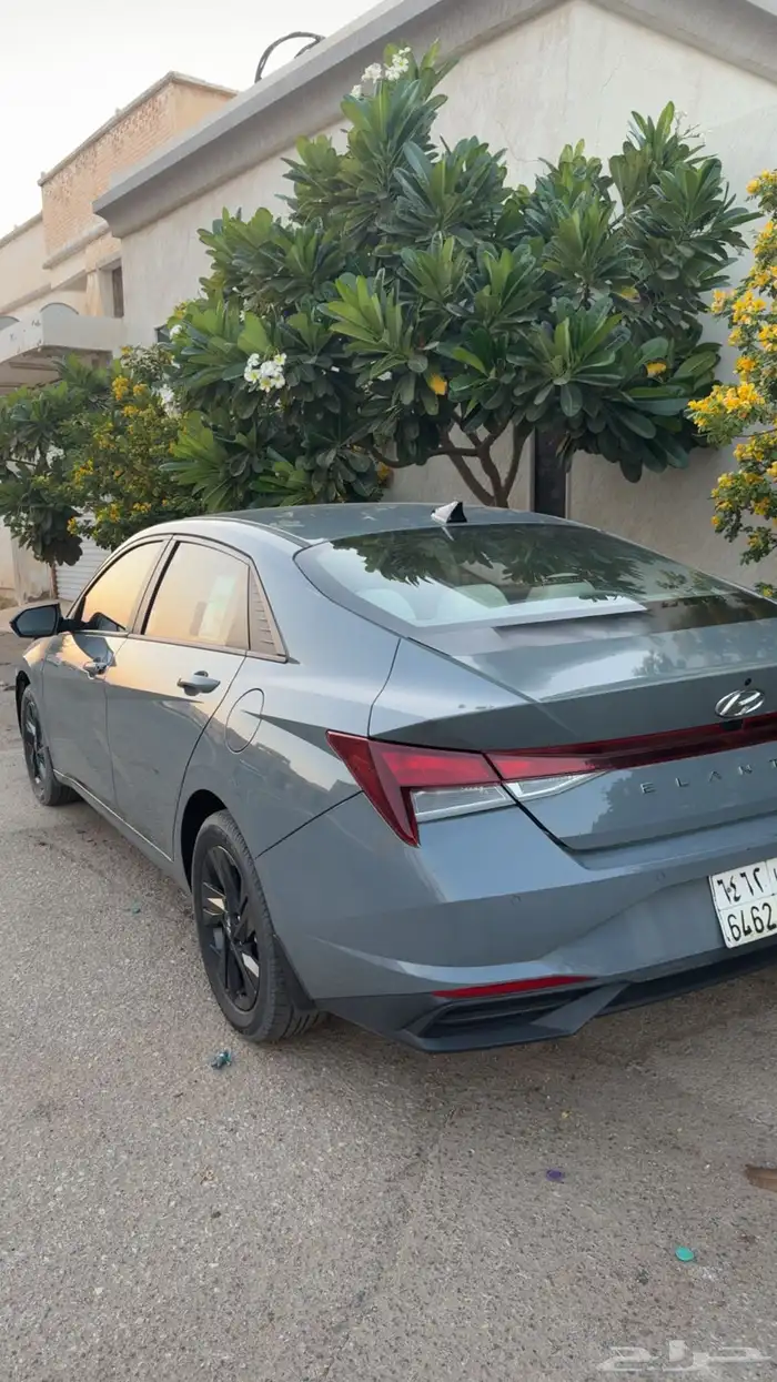 للبيع النتراء 2023 نص فل 1