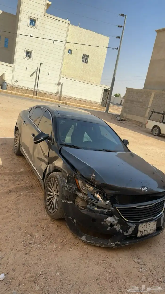 كادينزا 2012 0