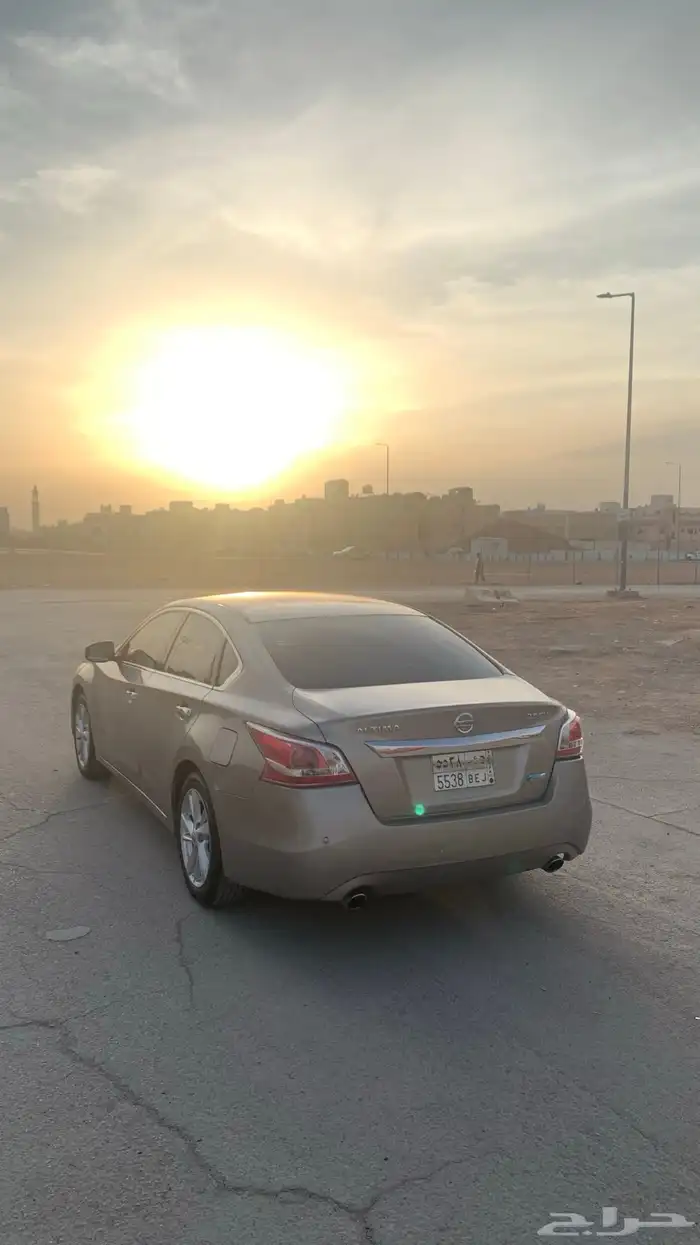 التيما 2014 3