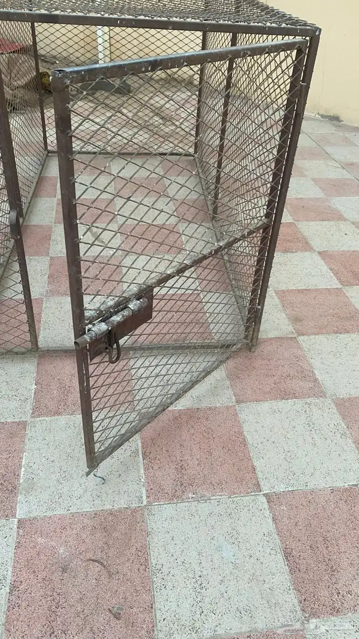 قفص كيبير البيع الموقع عفيف 2