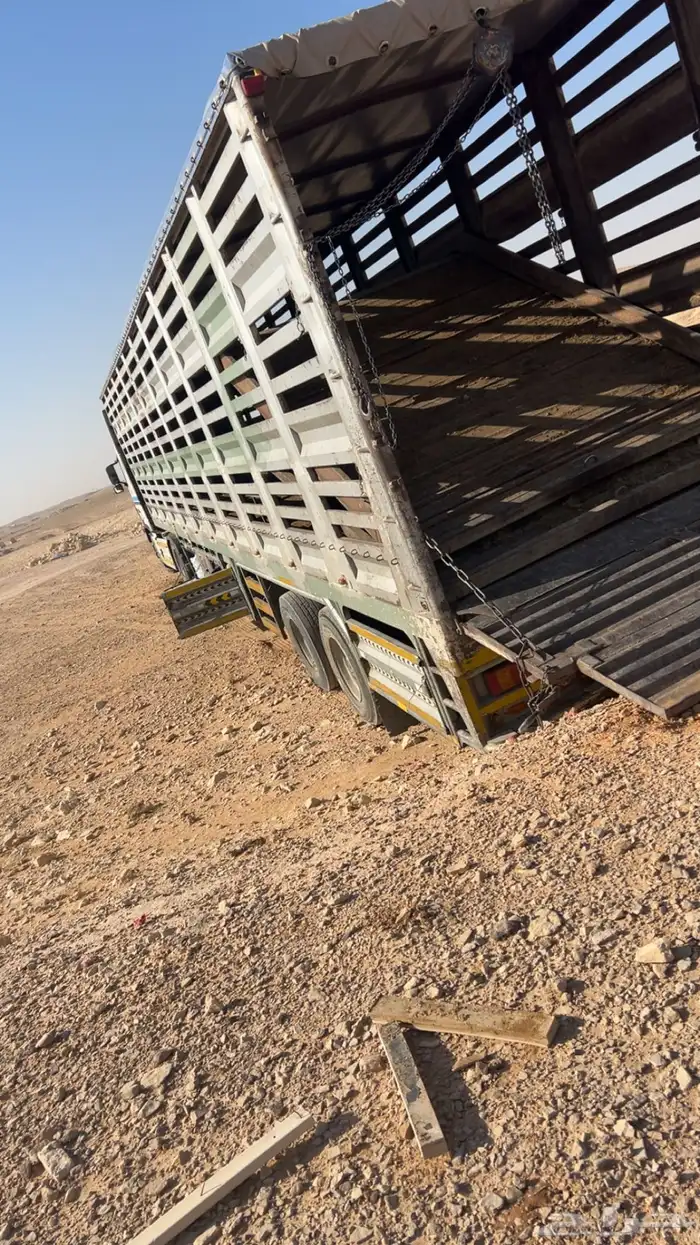 تريلا الغنامية مع مراي طول 17 متر اليدر نقل 1