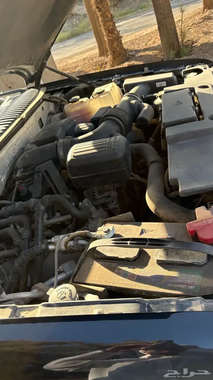 اكسبيدشن2013 12