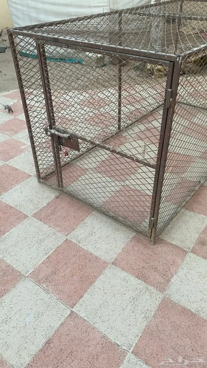 قفص كيبير البيع الموقع عفيف 3