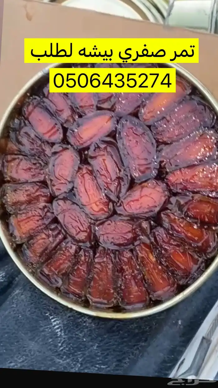 تمر صفري بيشه 0