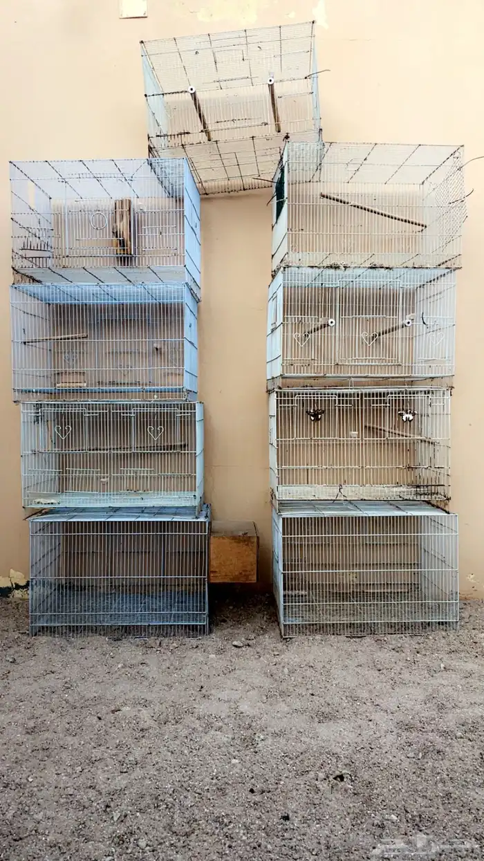 اقفاص طيور 601 0