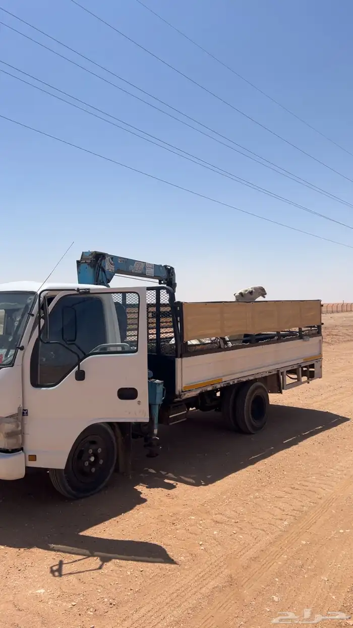 دنه متواجد ف سعيره وحولها 0