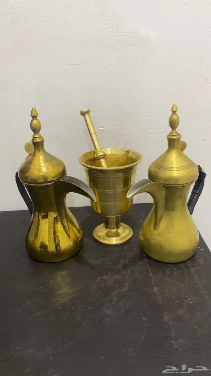 نجر سوري ودلتين 1