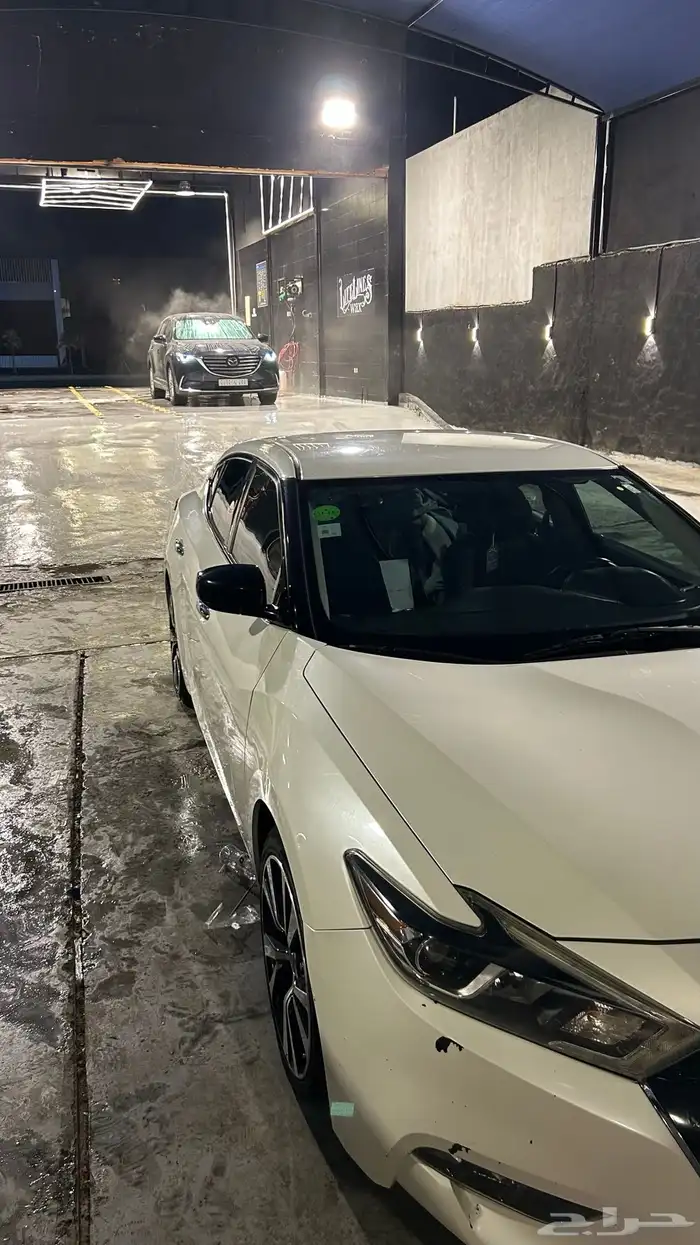 نسيان مكسيما 2017 2