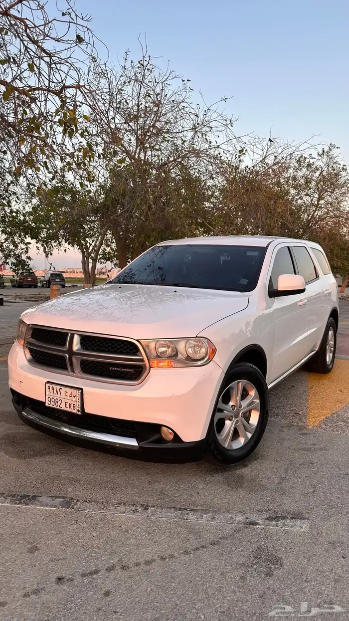 درانجو 2013 10