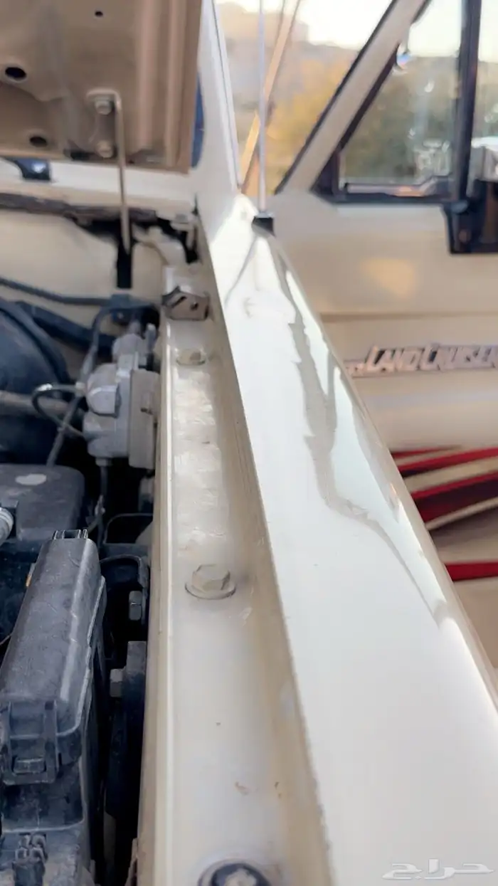 شاص 13 بريمي بودي بلد 10