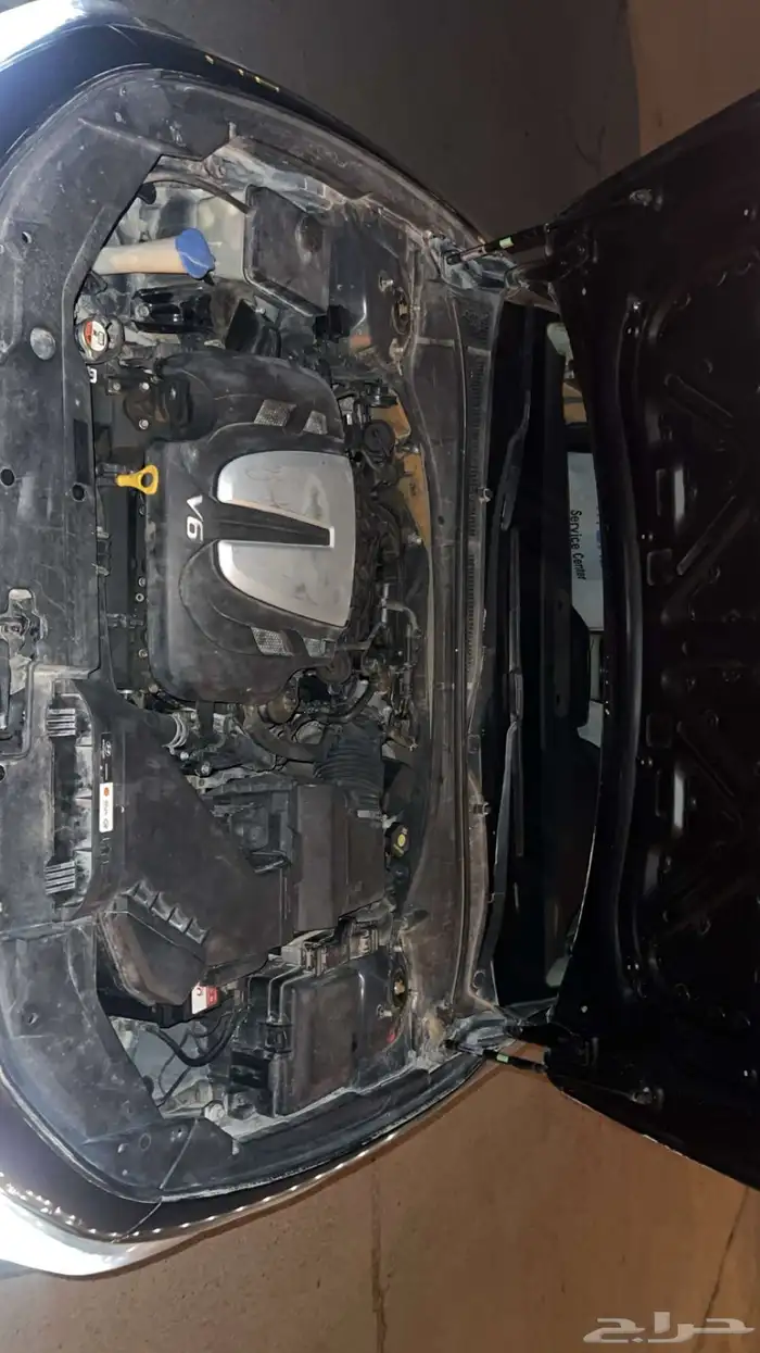 ازيرا مديل 2018 6