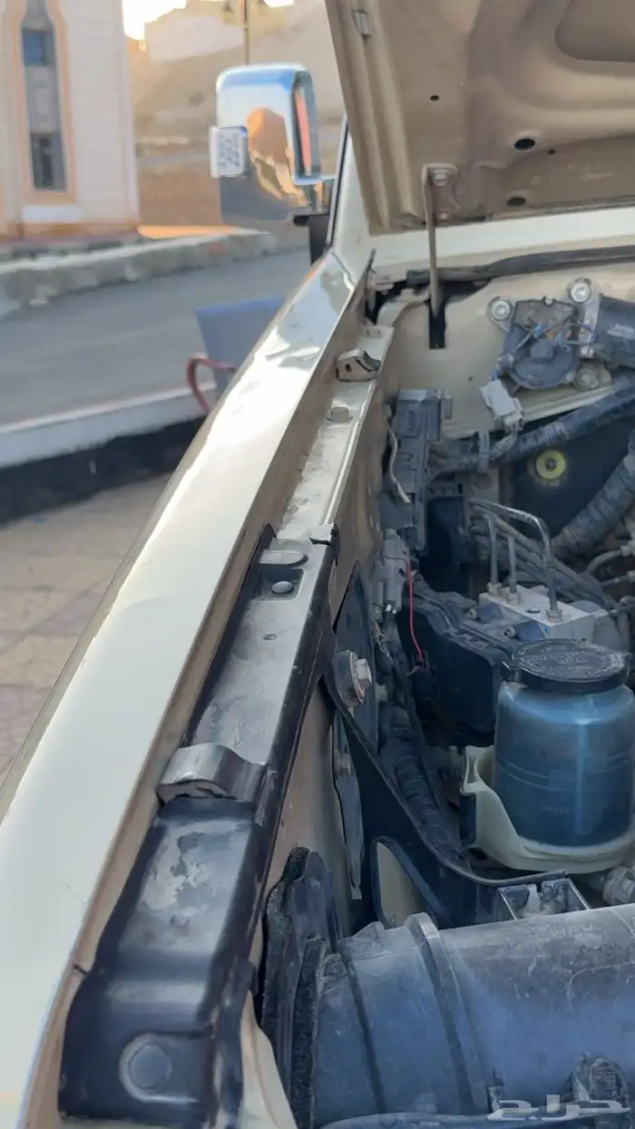 شاص 13 بريمي بودي بلد 8